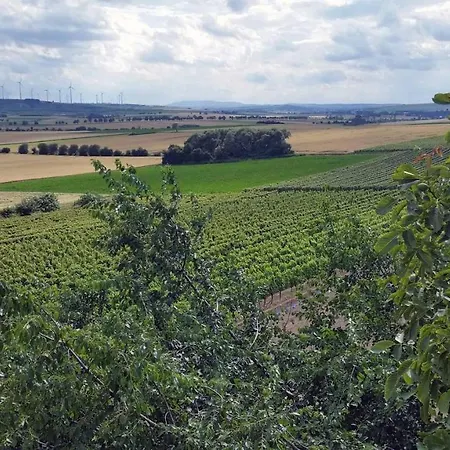 Olm * Dolgesheim