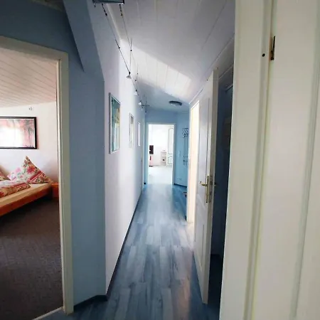 Olm Apartment